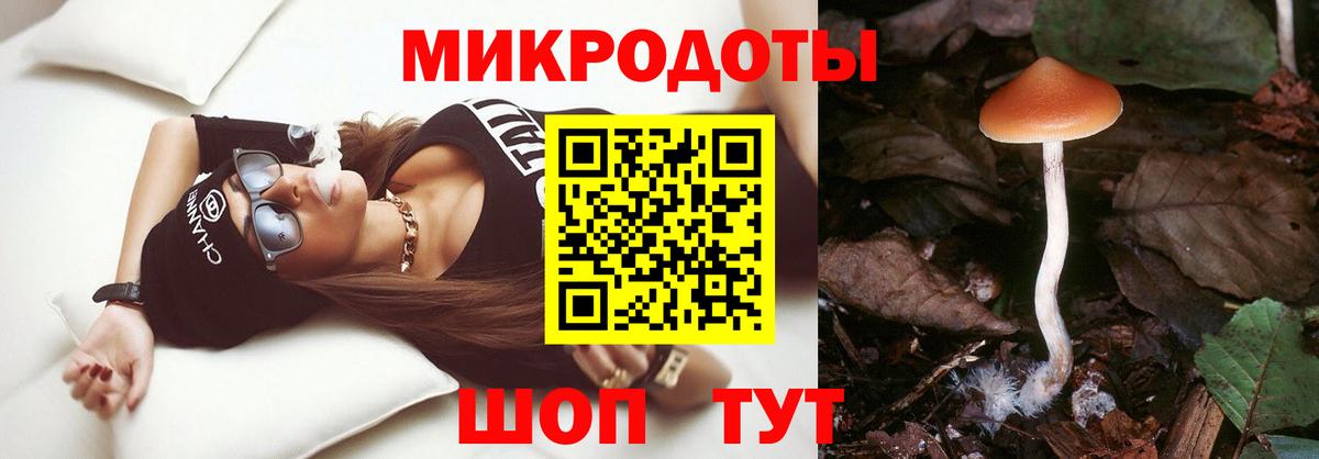 Соликамск  Псилоцибиновые грибы прущие грибы  где продают наркотики  Вход с VPN 